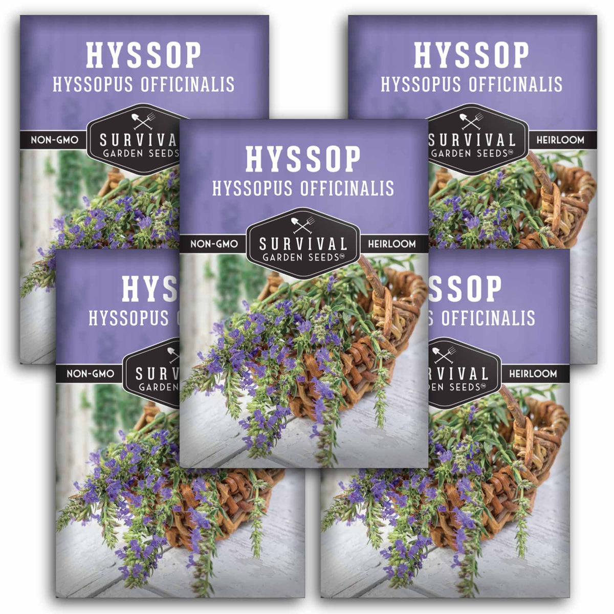 5 Packets of Hyssop Seeds