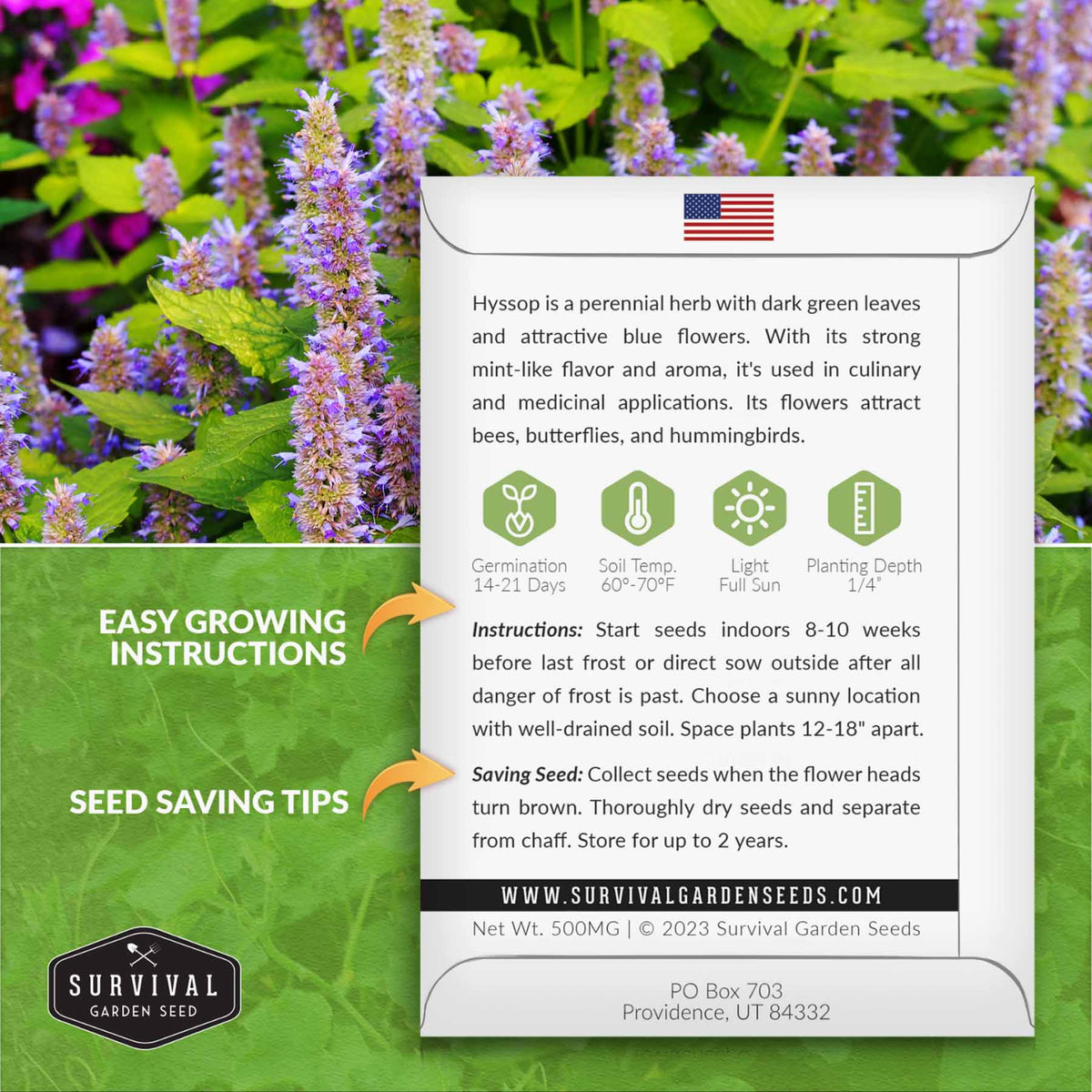 Hyssop seed growing instructions