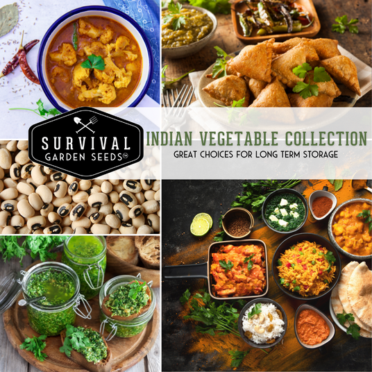 Indian Vegetable Collection - vegetables and herbs used in Indian cooking
