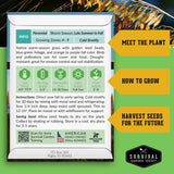 Indiangrass growing instructions