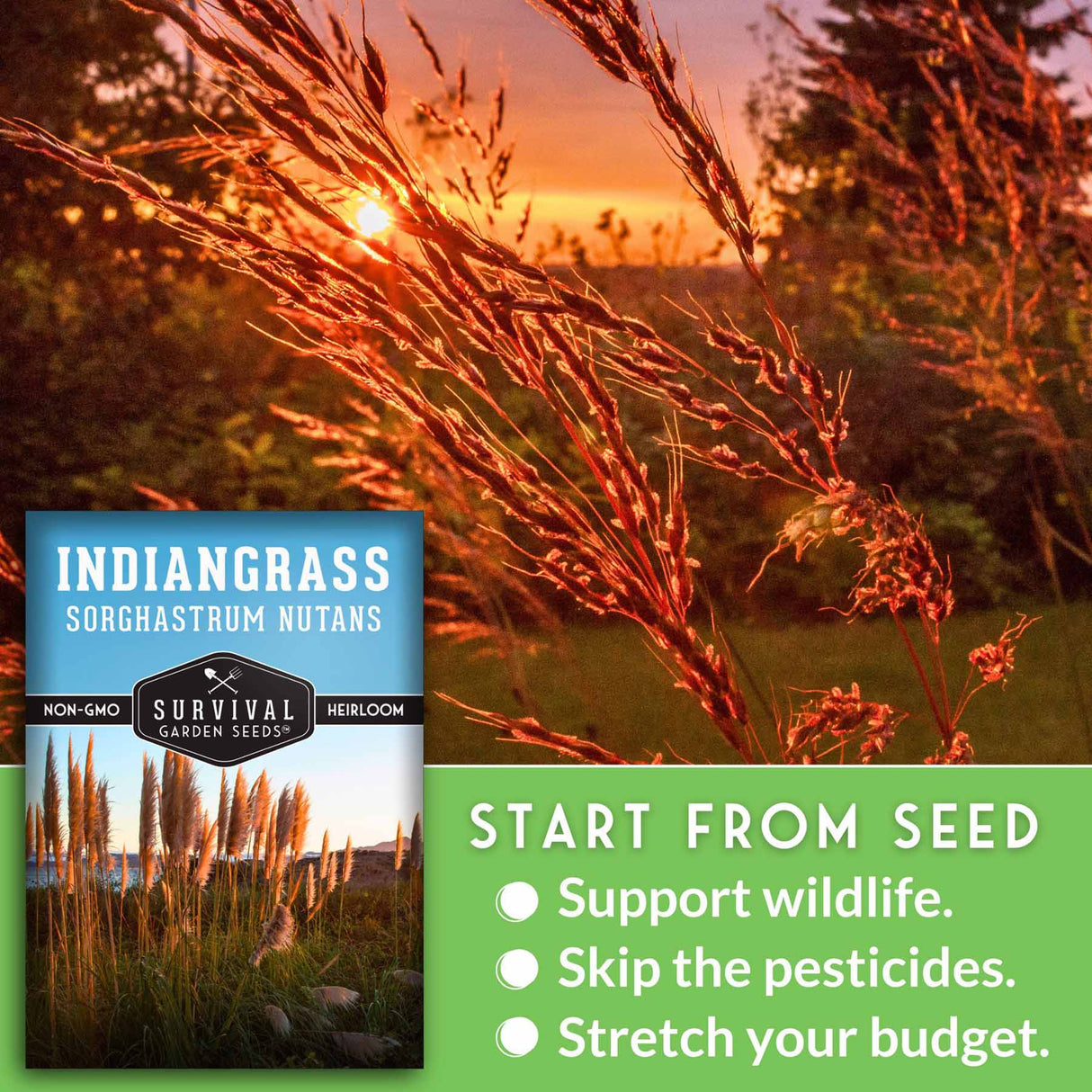start from seed