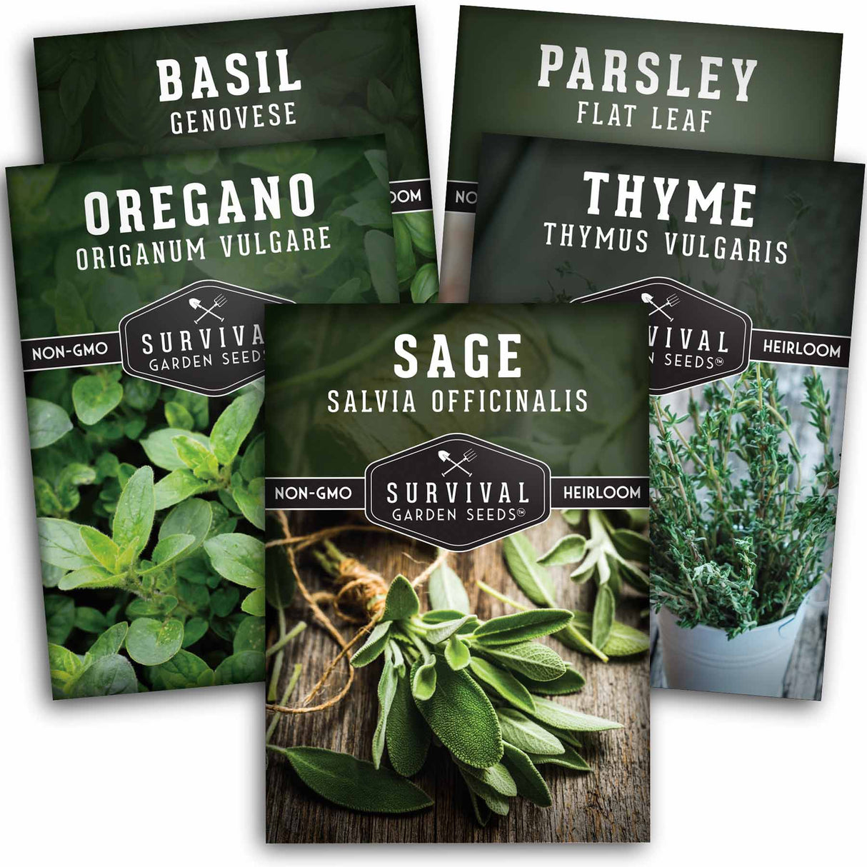 Italian Herb Collection - Basi, Parsley, Oregano, Thyme & Sage