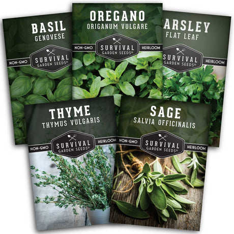 Italian Herb Seed Collection - 5 packets of herb seeds