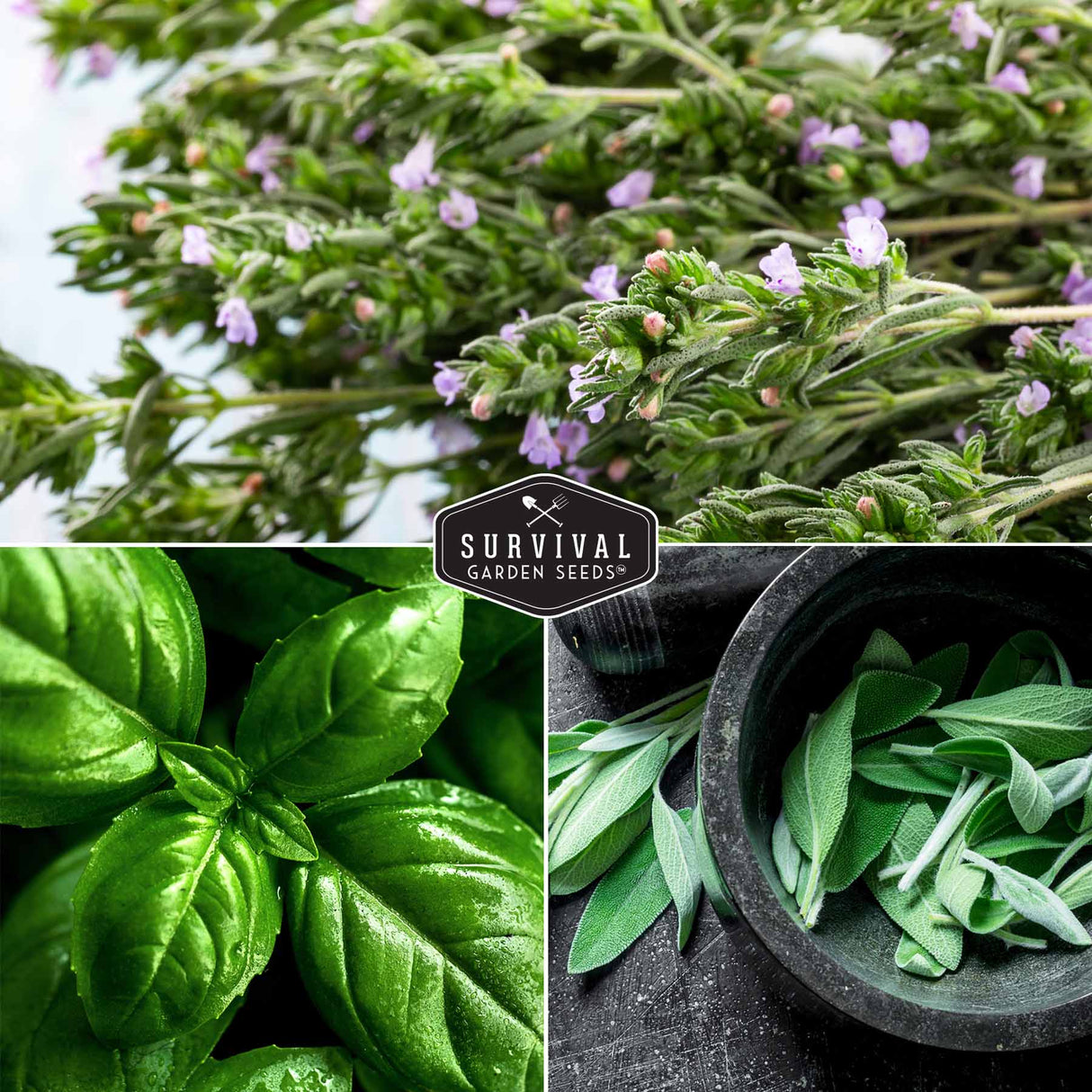 Rosemary, basil & sage