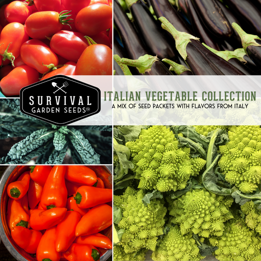Italian vegetable seed collection - traditional Italian vegetables