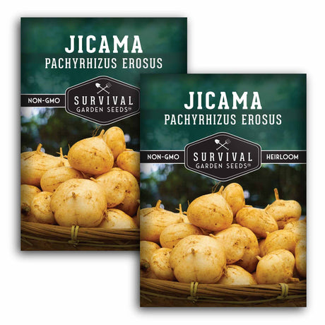 2 packets of Jicama seeds