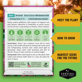 Survival Garden Seeds packaging with plant information and growing instructions.