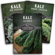 3 Packets of Kale Seeds