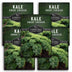 5 packets of Dwarf Siberian Kale seeds