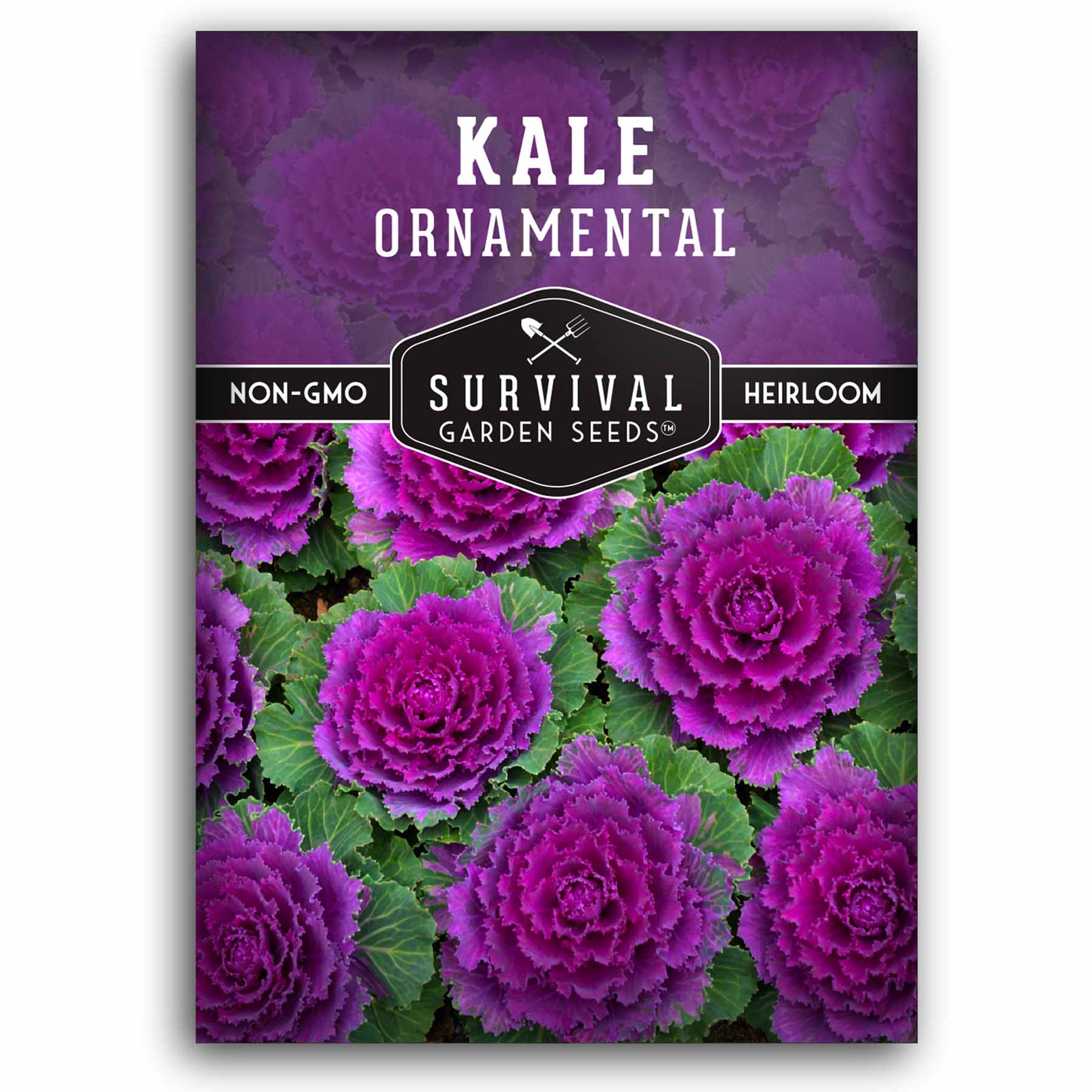 Decorative Kale Seeds: A Comprehensive Guide to Growing Ornamental Kale