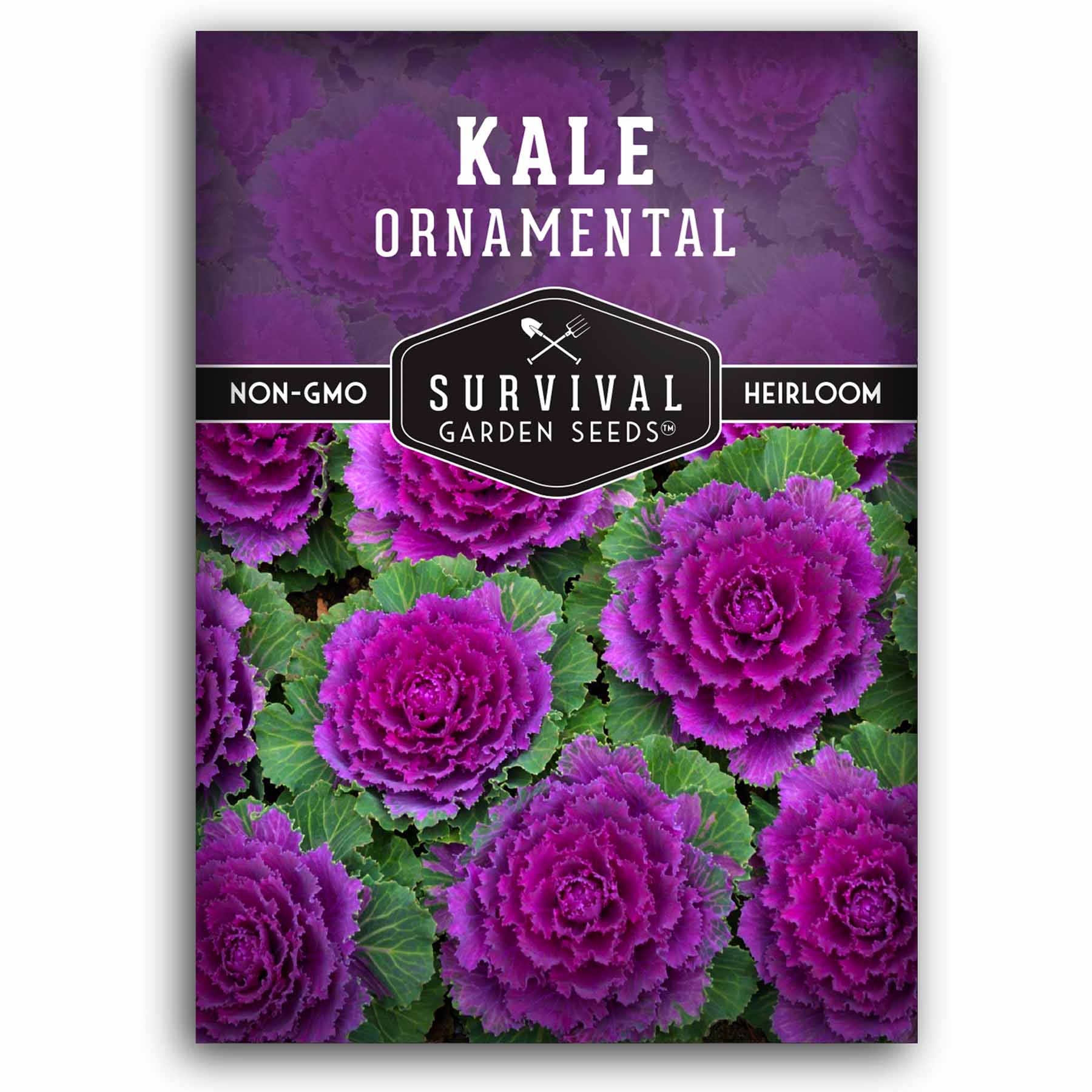 1 packet of Ornamental Kale seeds
