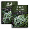 2 packets of Red Russian Kale seeds