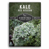 Red Russian Kale seeds