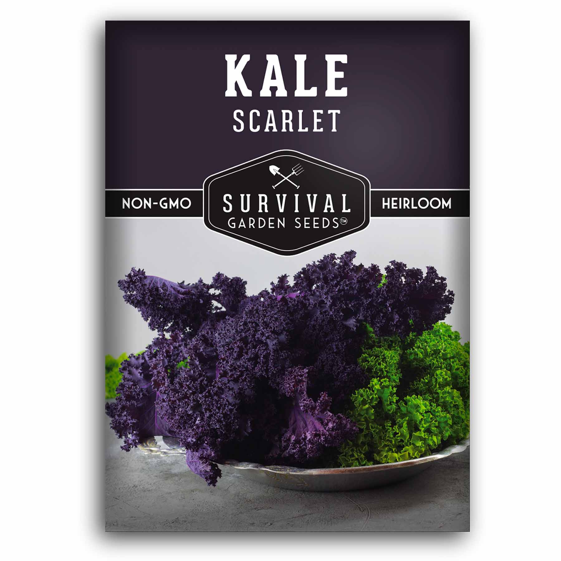 1 packet of Scarlet Kale seeds