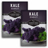 Scarlet Kale Seeds - Ornamental Kale