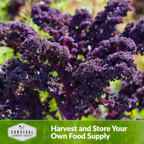 Harvest and store your own food supply