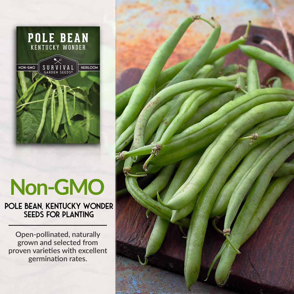 Non-GMO bean seeds