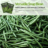 Versatile Snap bean