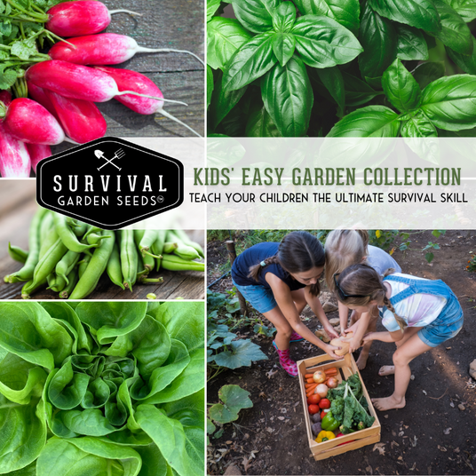 Kids Garden seed collection - easy to grow plants for kids