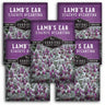 5 packets of Lamb's Ear seeds