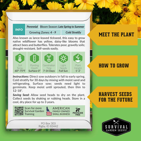 Lanceleaf Tickseed growing instructions
