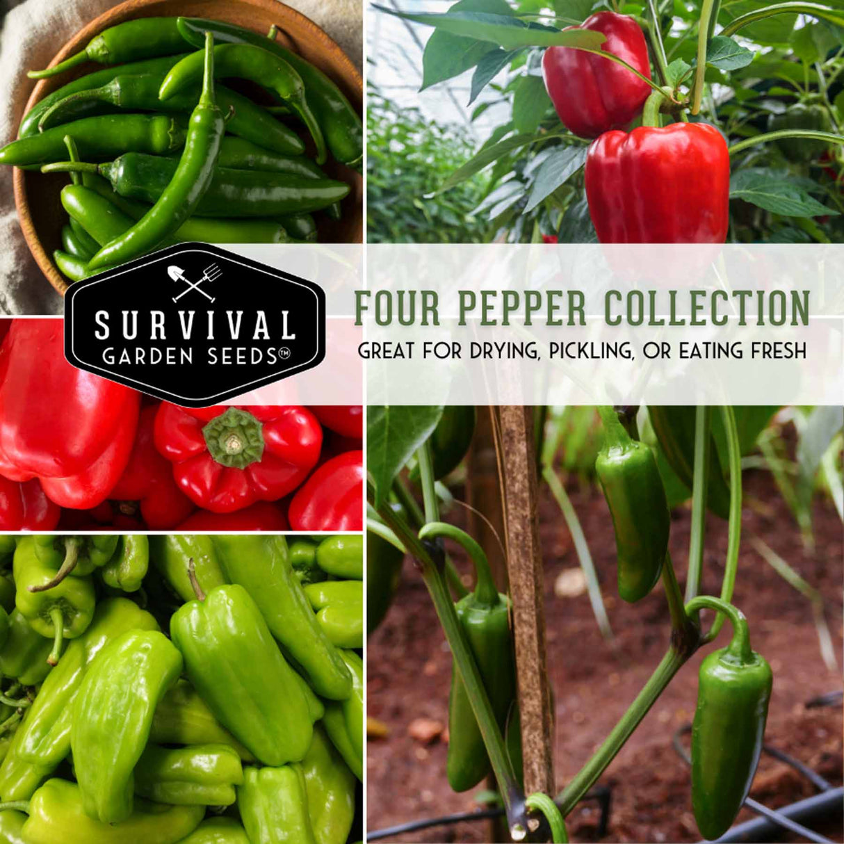 4 Pepper Seed Collection - Sweet and Hot Peppers