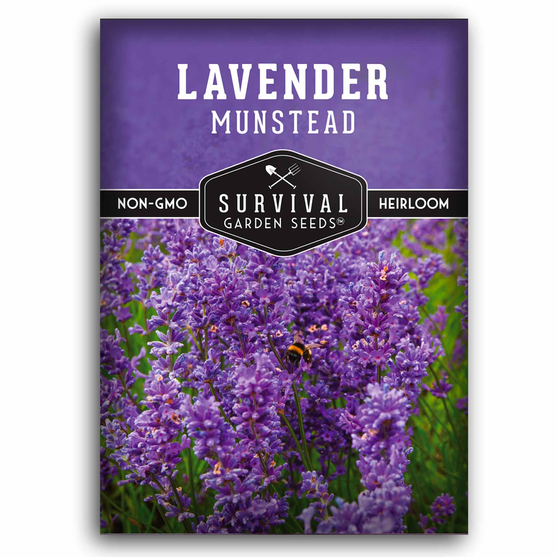 1 packet of Munstead Lavender seeds