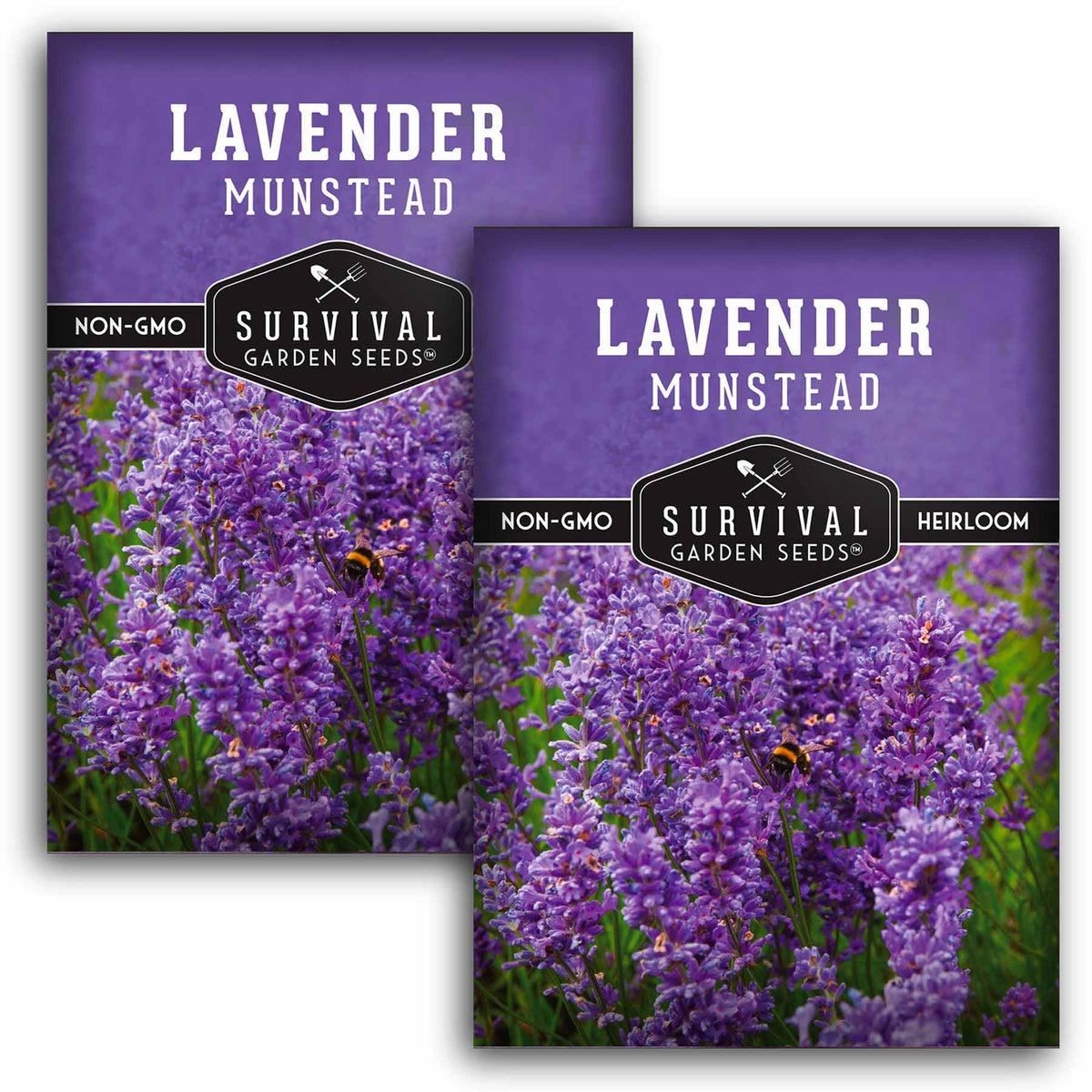 2 packets of Munstead Lavender seeds