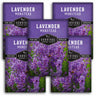 5 packets of Munstead Lavender seeds