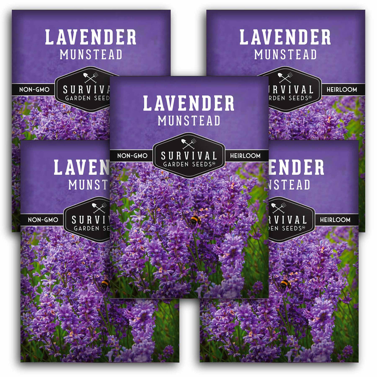 5 packets of Munstead Lavender seeds