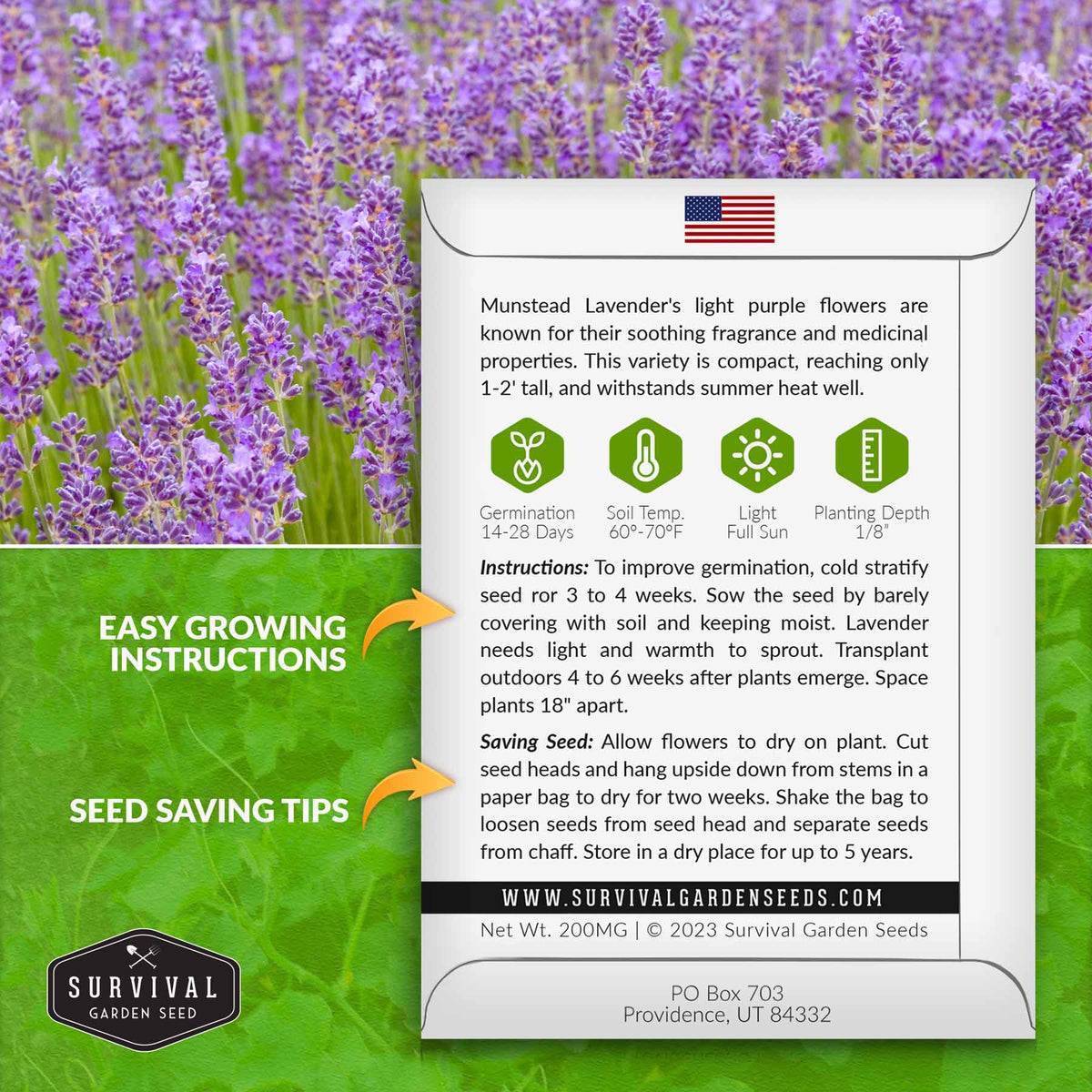 Munstead Lavender seed growing instructions