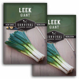 2 packets of Giant Leek seeds