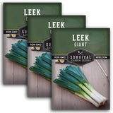 3 packets of Giant Leek seeds