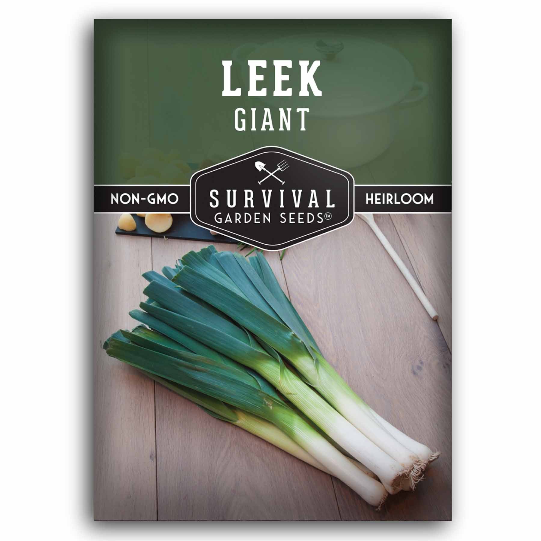 Giant Leek Seeds - All American Award Winner – SurvivalGardenSeeds