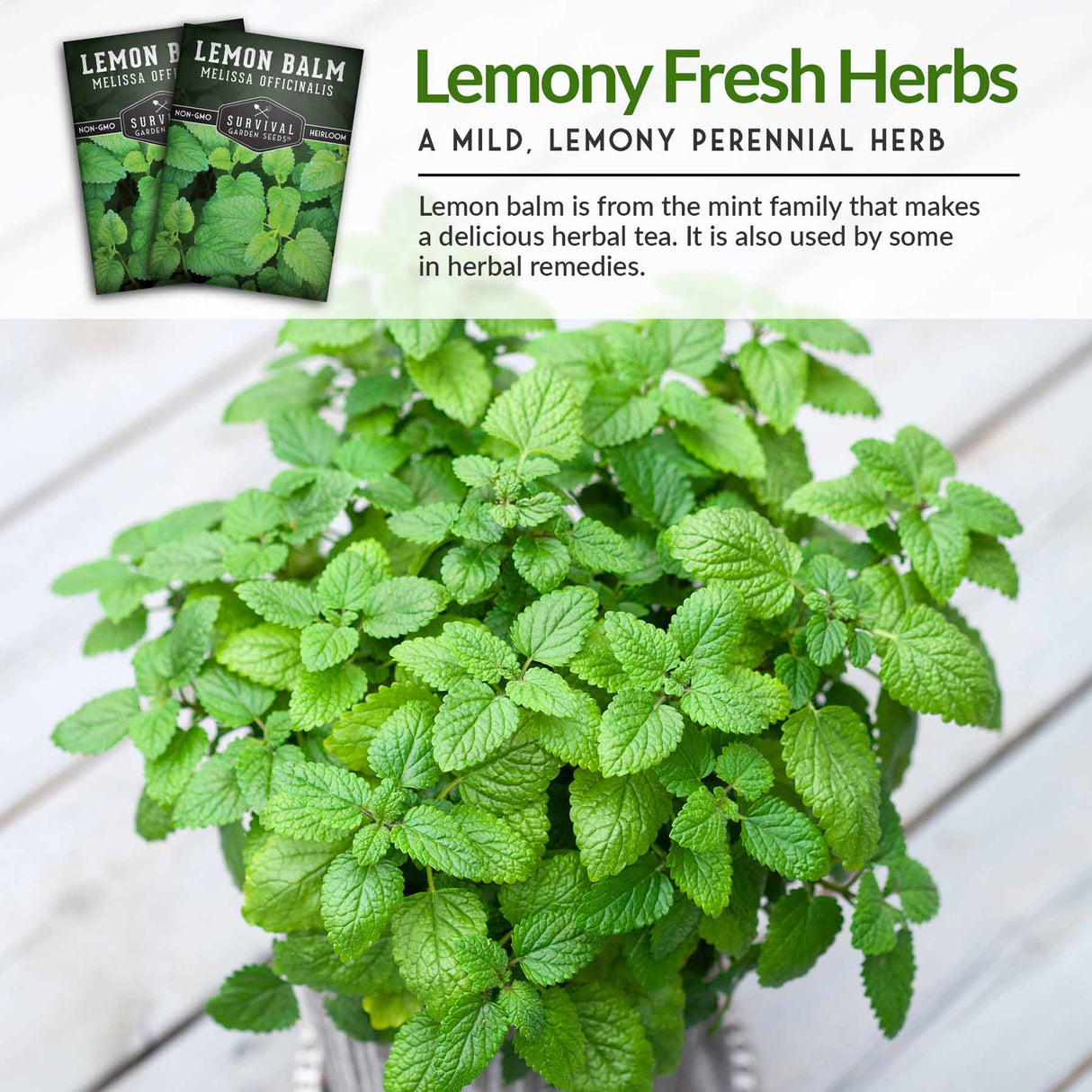 Lemony Fresh Herbs