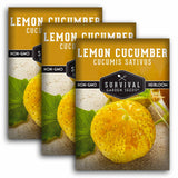 3 packets of Lemon Cucumber seeds