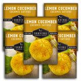 5 packets of Lemon Cucumber seeds