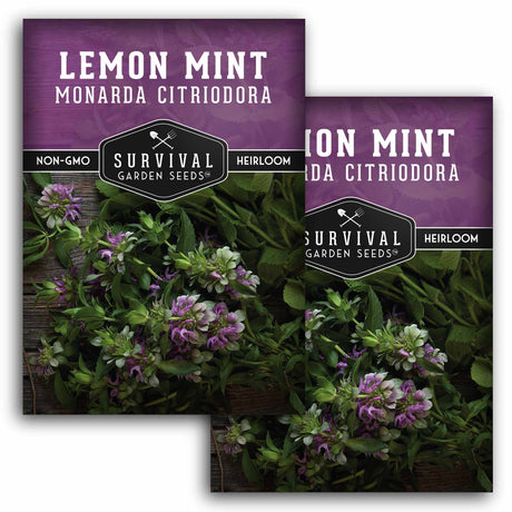 2 Packets of Lemon Mint seeds