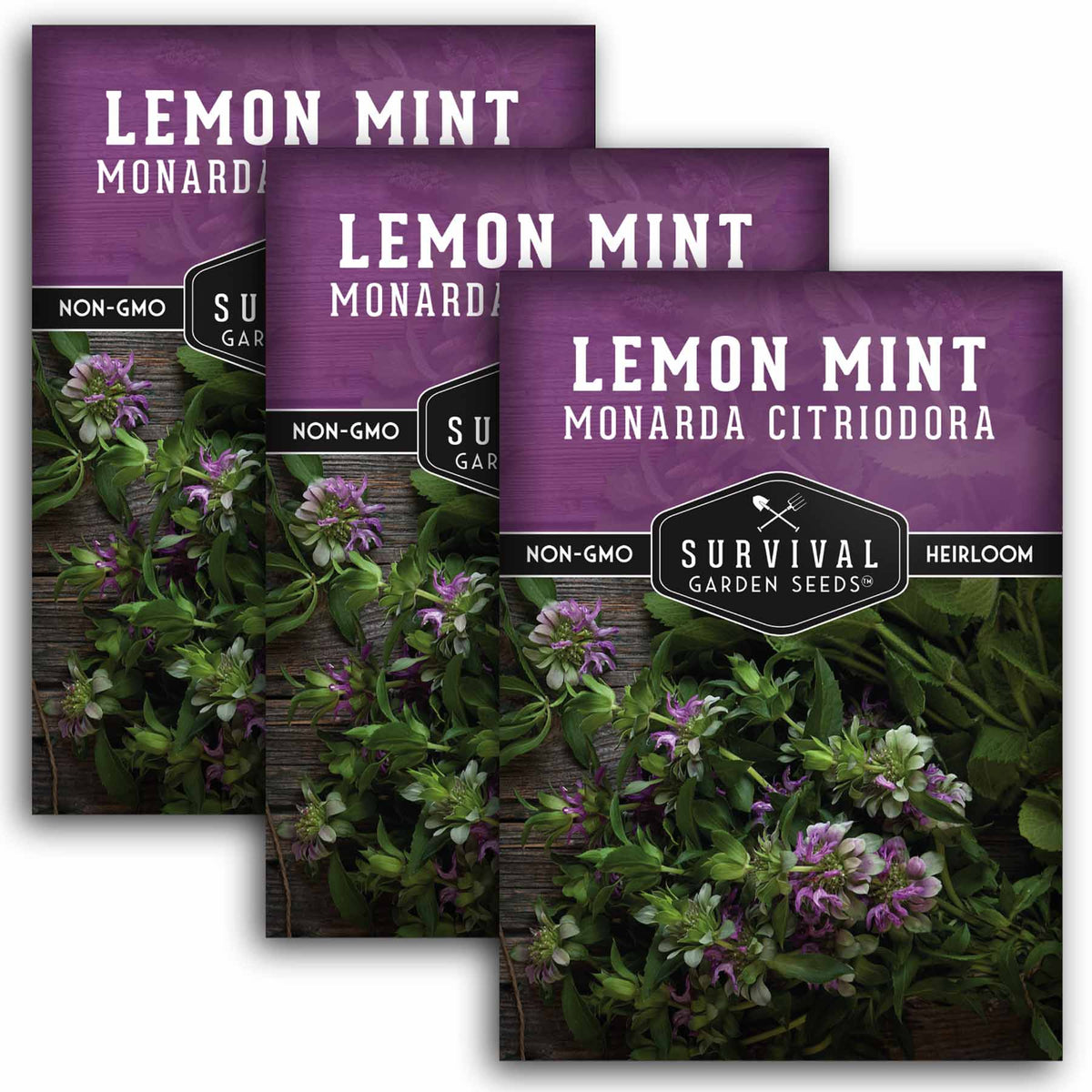 3 Packets of Lemon Mint seeds