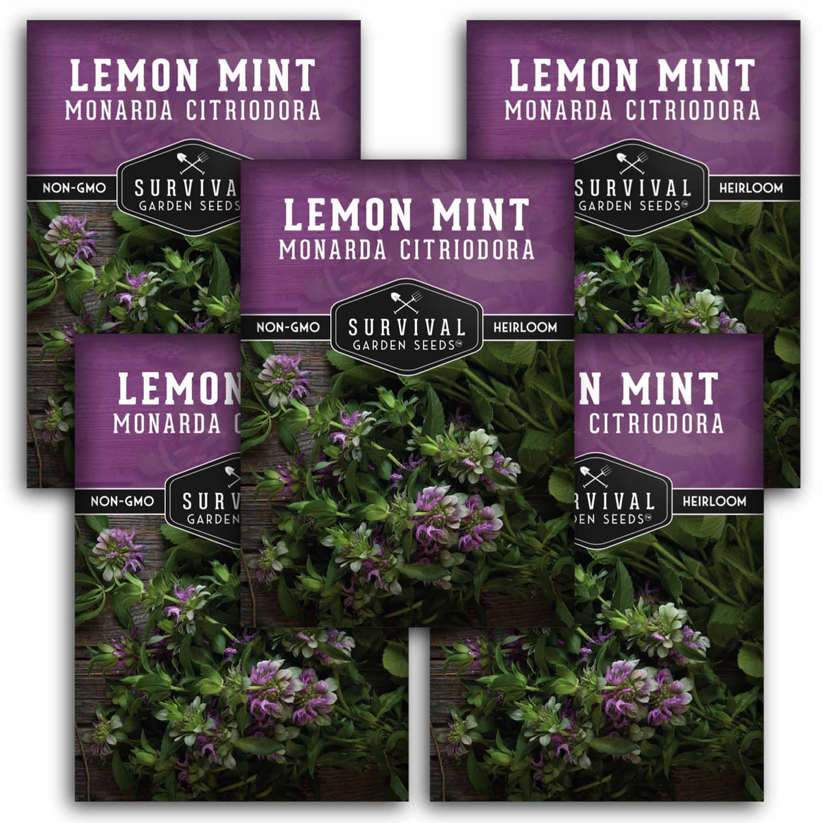 5 Packets of Lemon Mint seeds