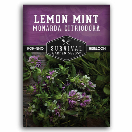 1 Packet of Lemon Mint seeds