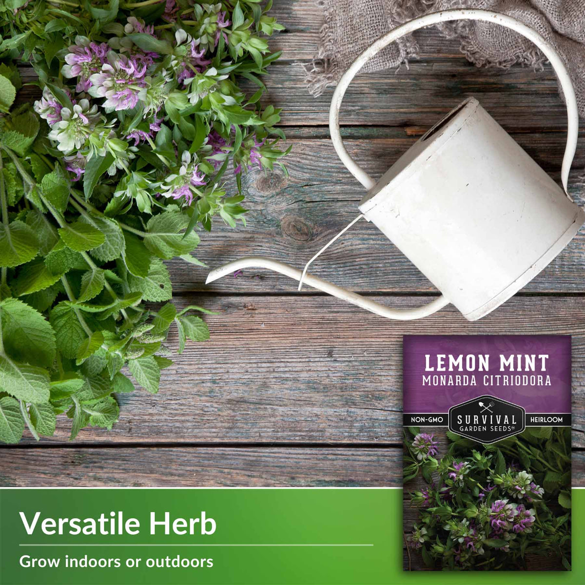 versatile herb