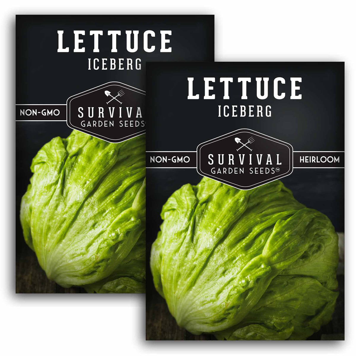 2 packets of Iceberg Lettuce seeds