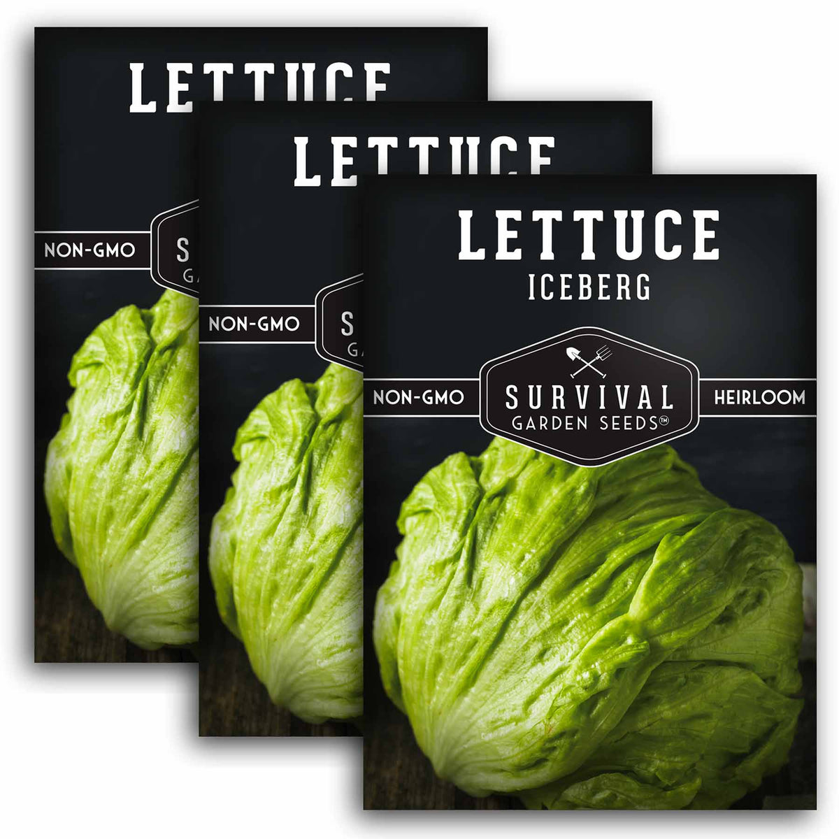 3 packets of Iceberg Lettuce seeds