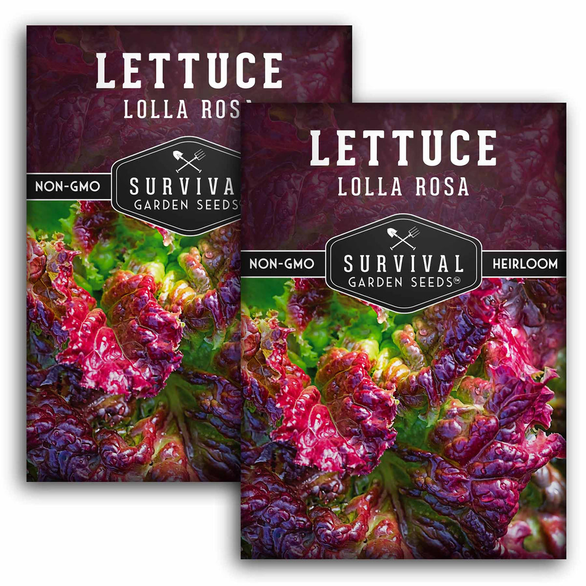 2 packets of Lolla Rosa seeds
