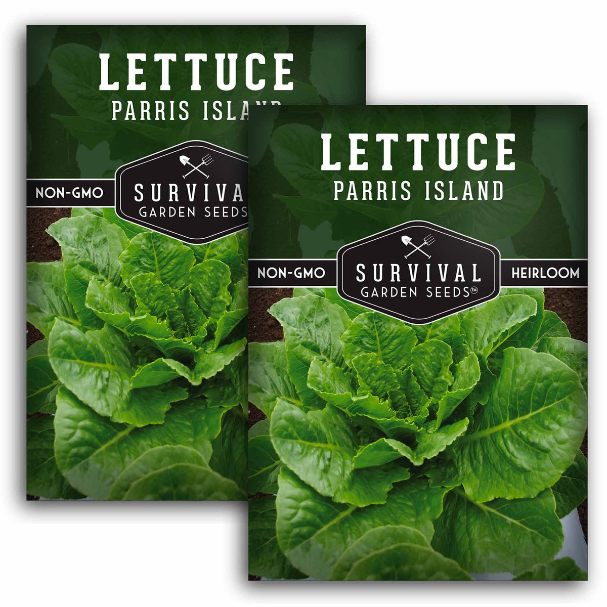 2 packets of Parris Island Lettuce seeds