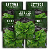 5 packets of Parris Island Lettuce seeds