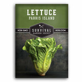 Parris Island Lettuce seeds