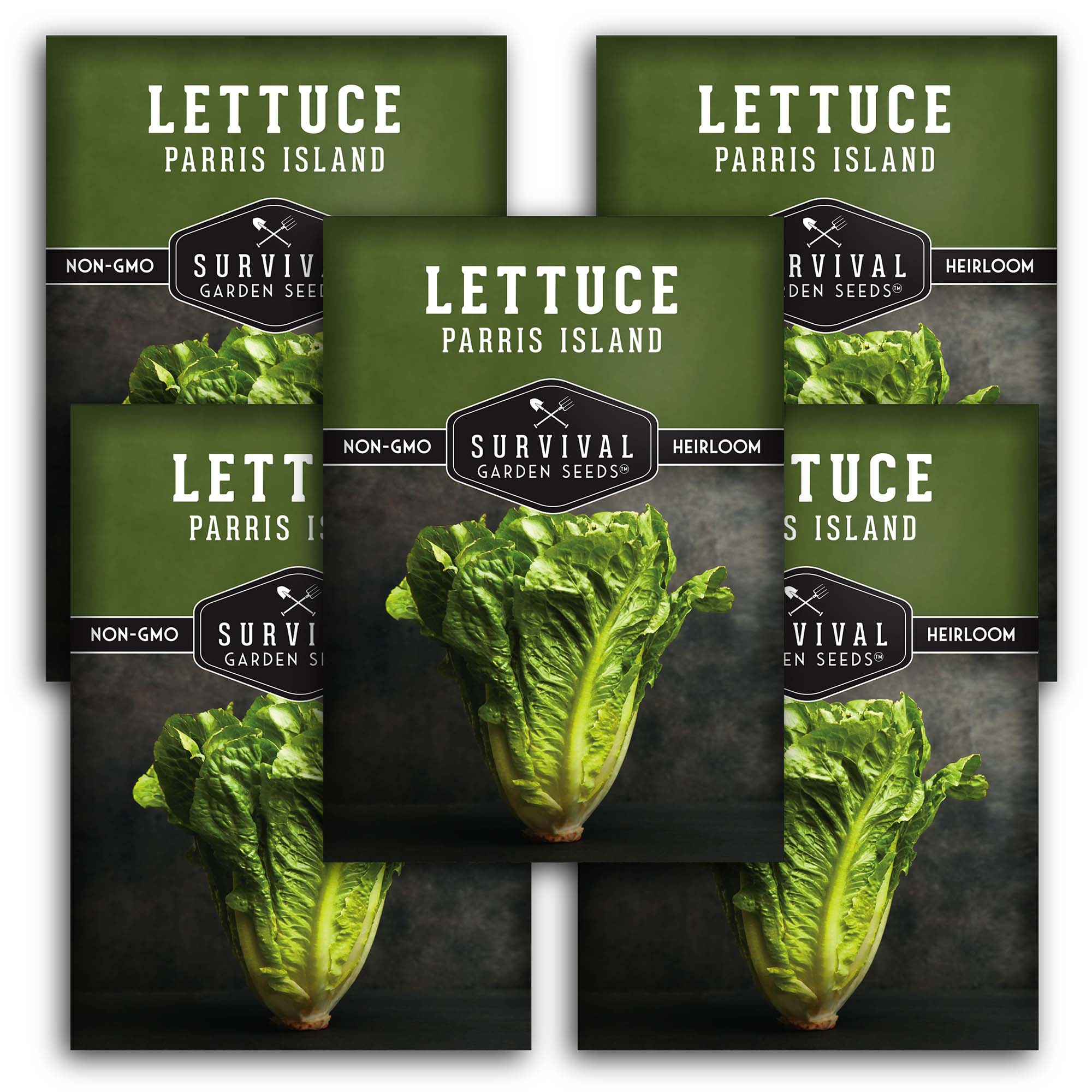 Parris Island Romaine Lettuce – Heirloom Seeds – SurvivalGardenSeeds