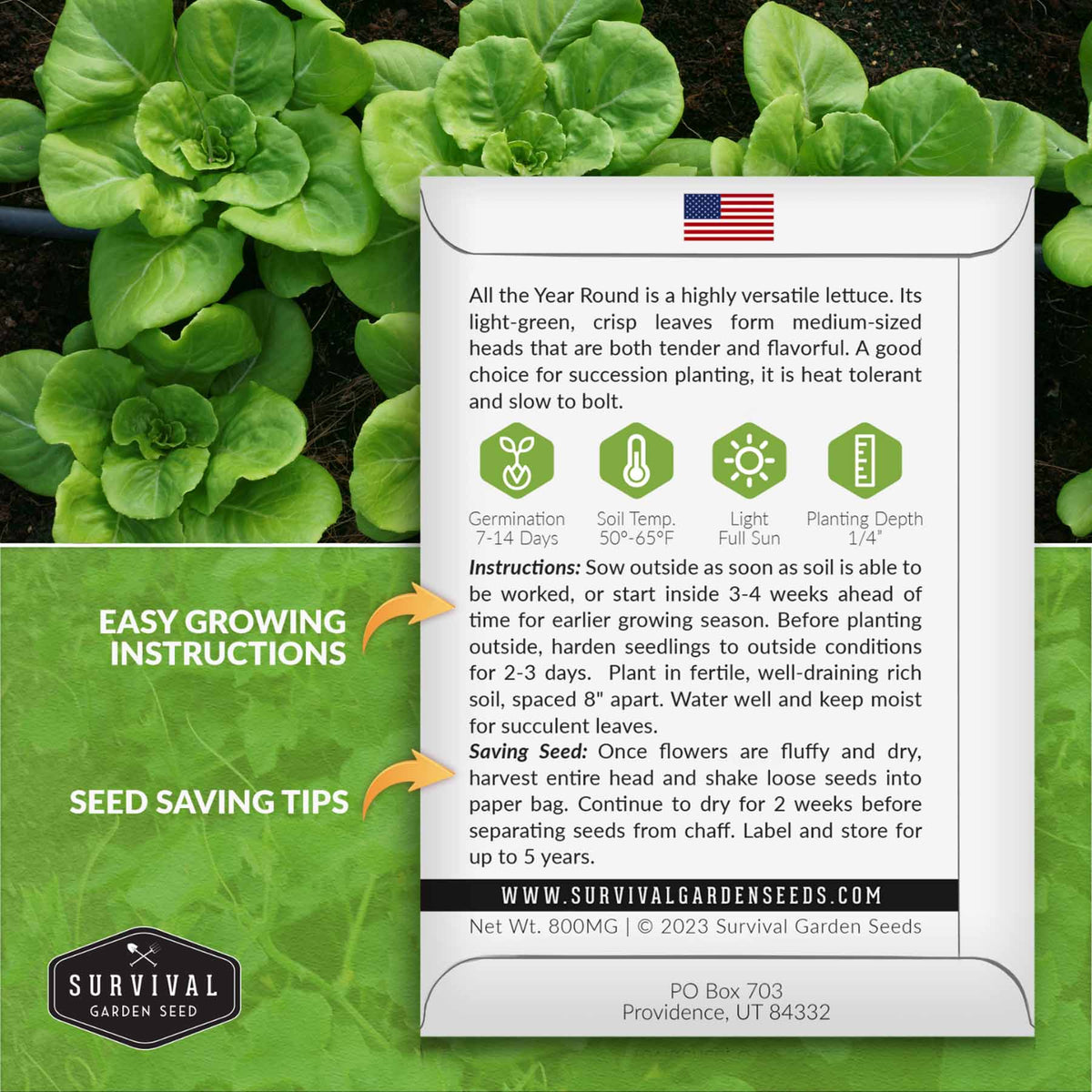 lettuce seed growing instructions